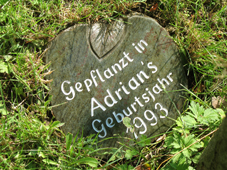 >Pazatka Web | Auftragsarbeiten, pazatka.de, Pazatka, Lipinski